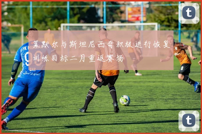 莱默尔与斯坦尼西奇积极进行恢复训练目标二月重返赛场