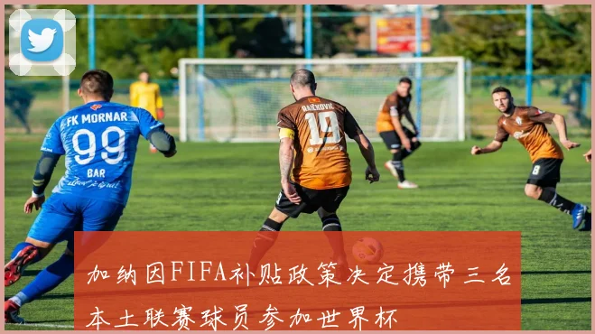 加纳因FIFA补贴政策决定携带三名本土联赛球员参加世界杯